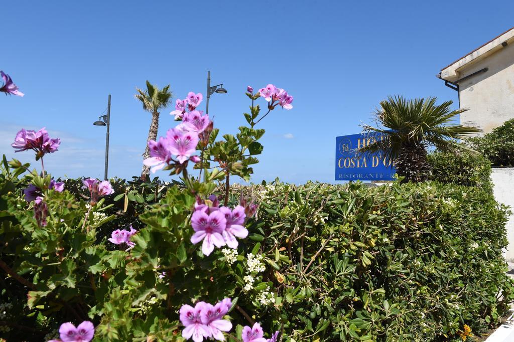 Hotel Costa D'Oro Santa Maria di Castellabate Bagian luar foto